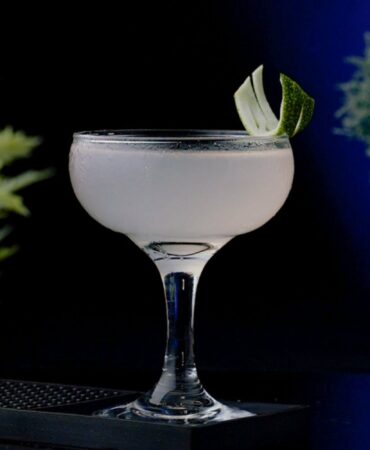 White Cocktail in a Coupe Glass garnished with a Lemon Peel