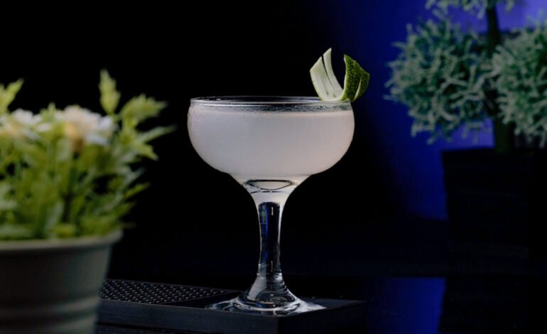 White Cocktail in a Coupe Glass garnished with a Lemon Peel