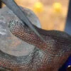 Resistance Gloves from blades and knives