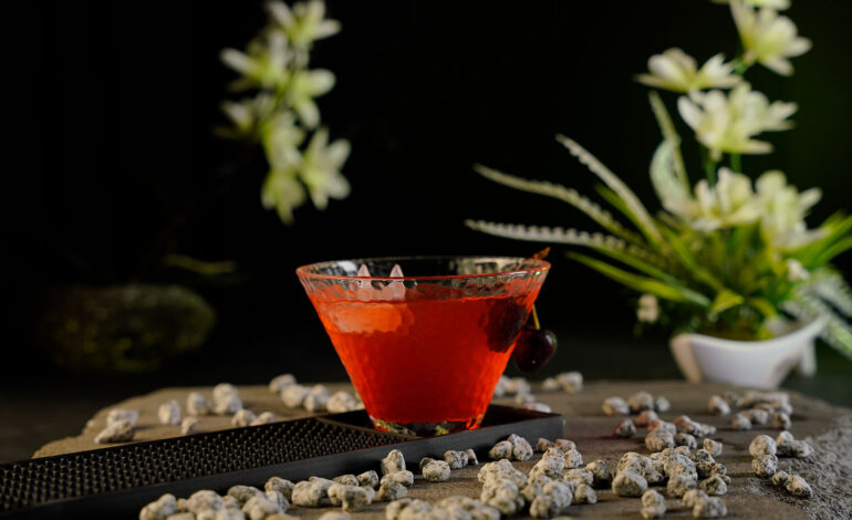 Red cocktail inside a stemless Martini glass with a Penguin ice cube floating on top